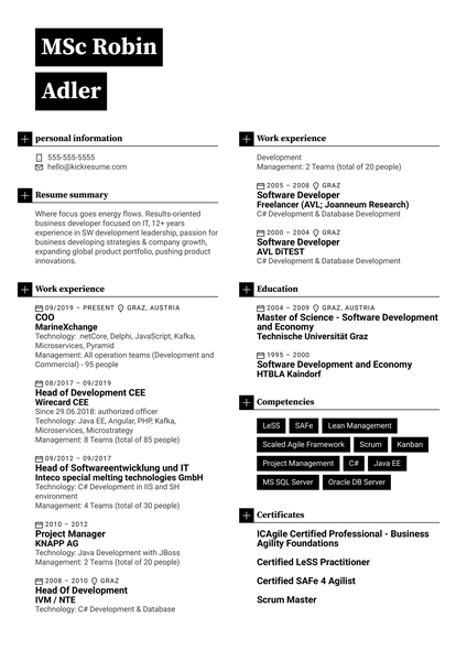Disney Video Production Assistant Resume Sample