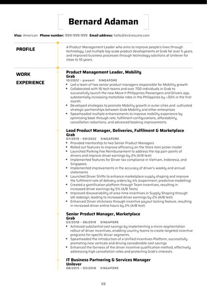 Lead Product Manager at BlueSG Resume Sample