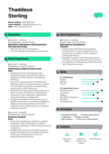 Continuous Improvement Lead Resume Sample