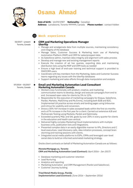 Marketing Operations Manager Resume Example