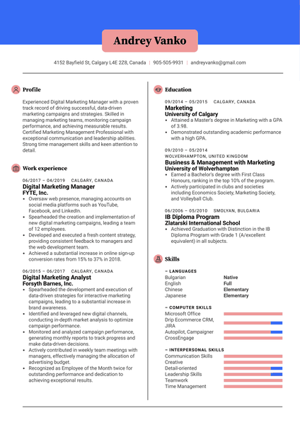 Digital Marketing Manager Resume Sample
