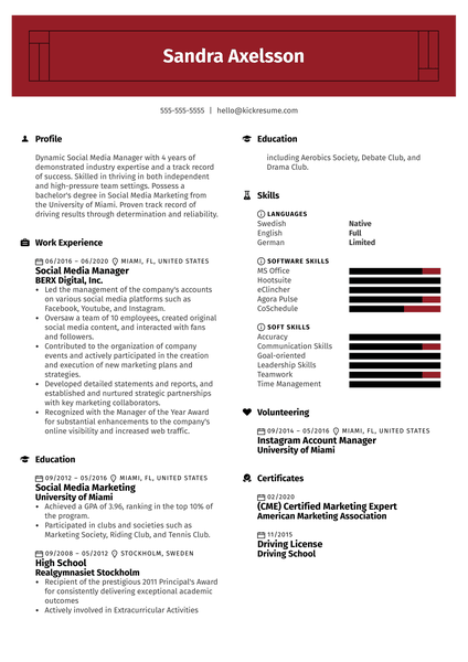 Budget Officer Resume Example