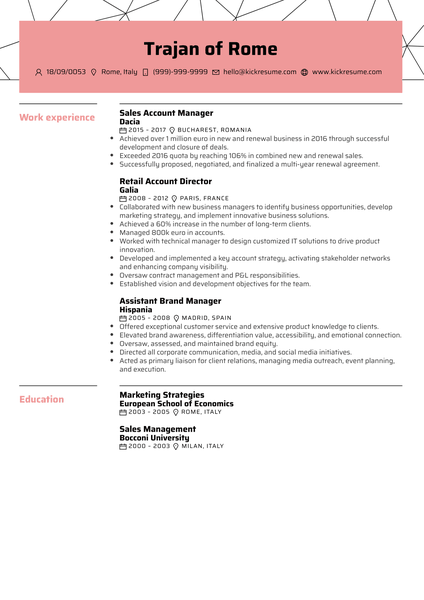 Sales Account Manager Resume Sample