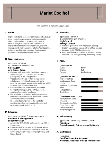 Sales Agent Resume Example
