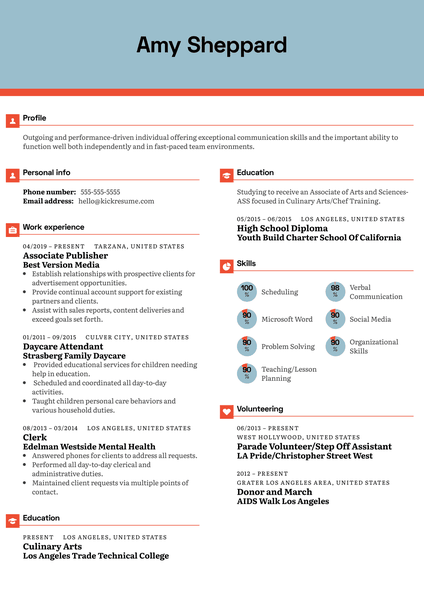 Red Label Sales Representative Resume Example