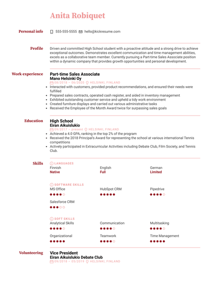 .NET Developer Resume Sample