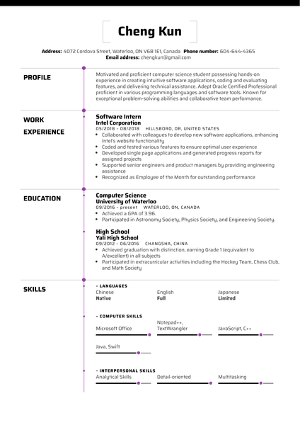 University Student Resume Example