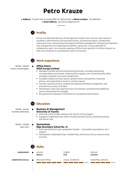 Office Intern Resume Example