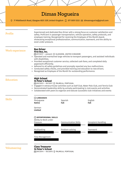 Bus Driver Resume Sample