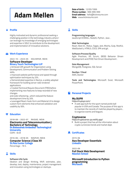 Software Developer at Binary Touch Technologies Resume Sample