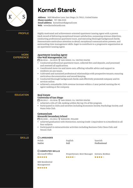 IT Manager Resume Sample