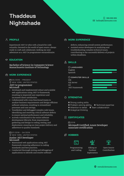 .NET C# Programmer Resume Sample