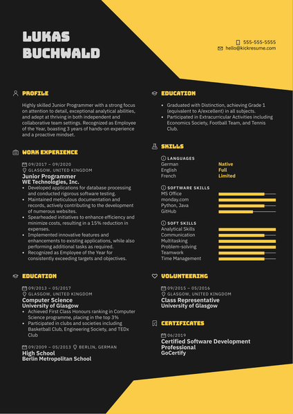 Junior Programmer Resume Example