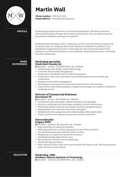 Banking Business Analyst Resume Sample