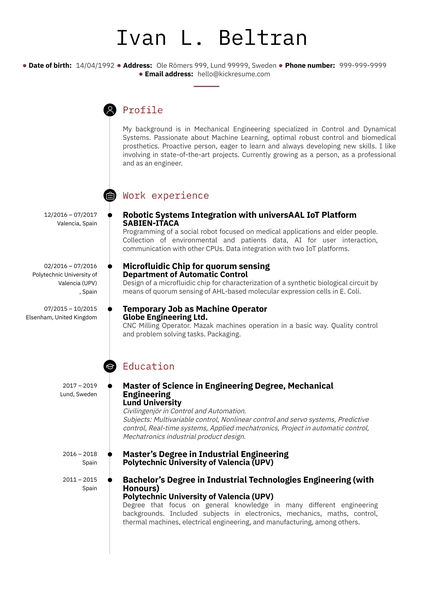 SABIEN-ITACA Software Engineer Resume Sample