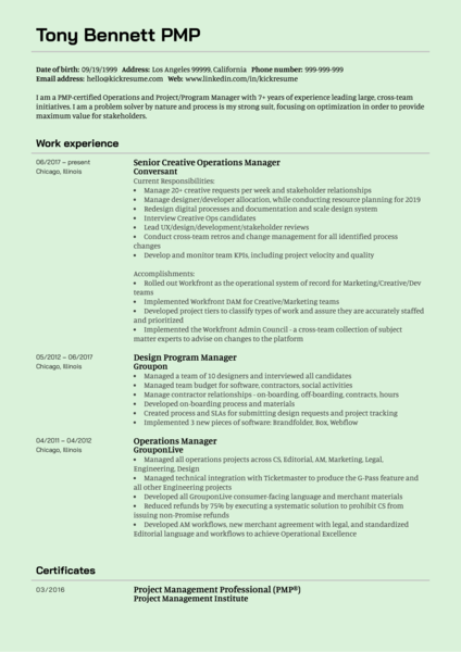 Senior Creative Operations Manager CV Example