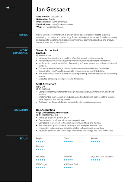 Senior Accountant Resume Example