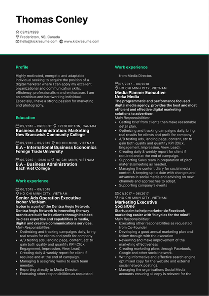 Senior Media Executive CV Example