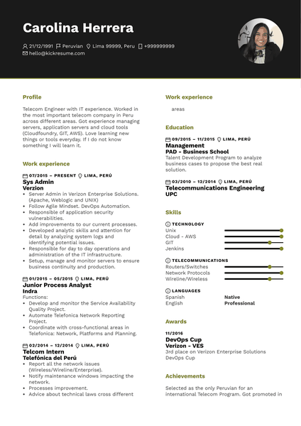 Junior Network Analyst CV Example