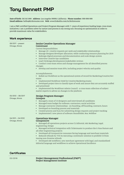 Software Engineering Intern Resume Example