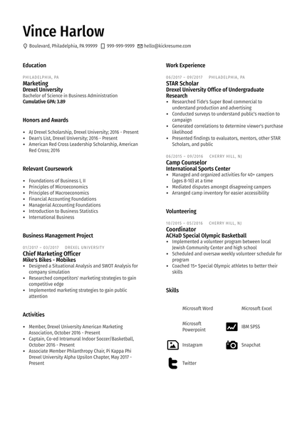 Senior Internal Auditor CV Sample