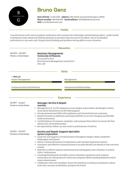 Senior Project Manager Resume Example