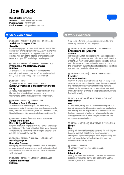 Design Strategist Resume Example