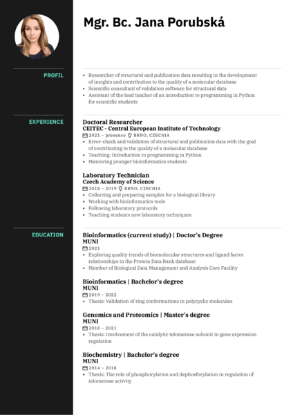 Application Specialist Resume Example
