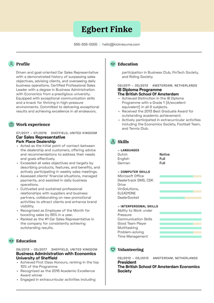 Car Sales Representative Resume Sample