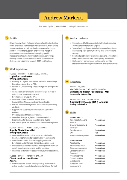 Automotive Technician Resume Sample