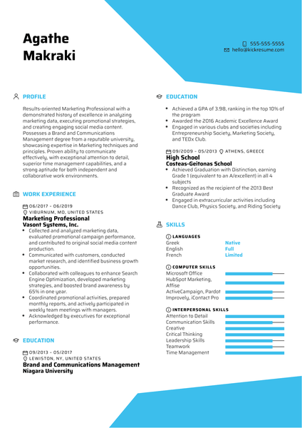 Marketing Professional Resume Example