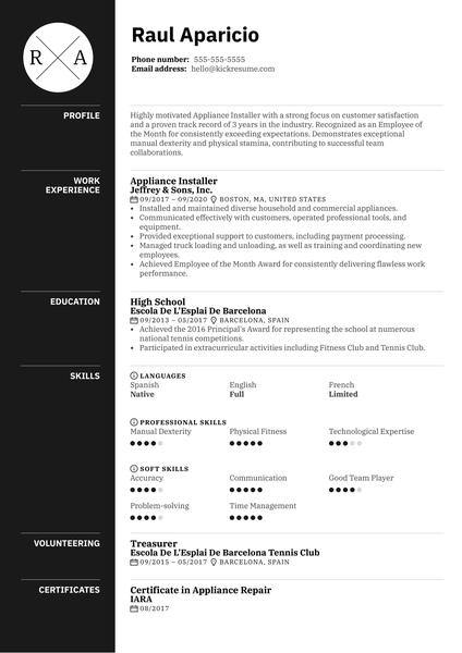 BlueLink International Customer Care Officer Resume Example