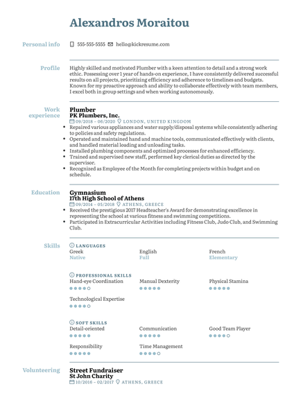 Customer Success Manager at Harmonic Resume Sample