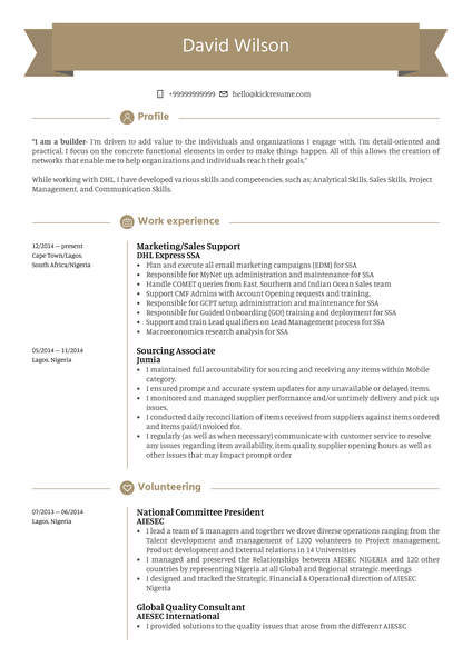 Sales Support Resume Sample