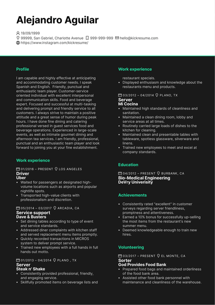 Service Support at Entertainment Business CV Example