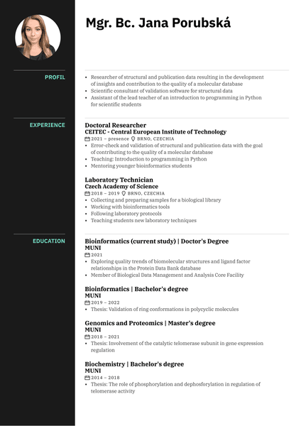 Application Specialist Resume Example