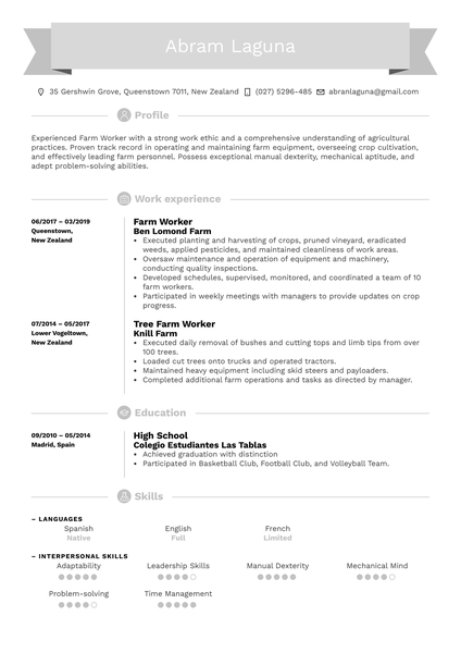 Diversity Manager Resume Example