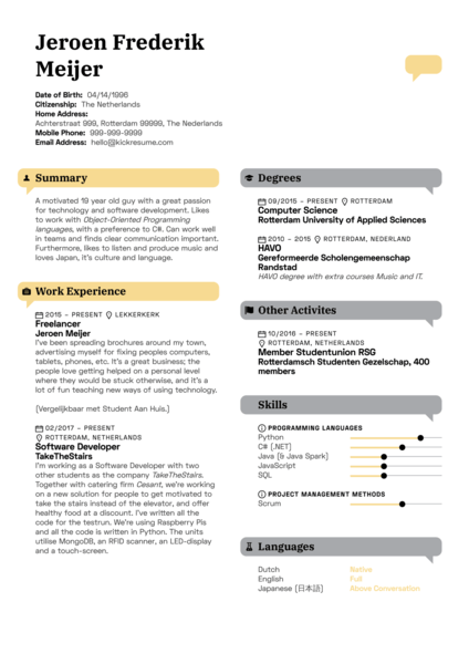 Fusion Systems Software Developer Resume Example