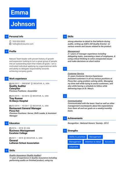 Senior Engagement Manager Resume Sample