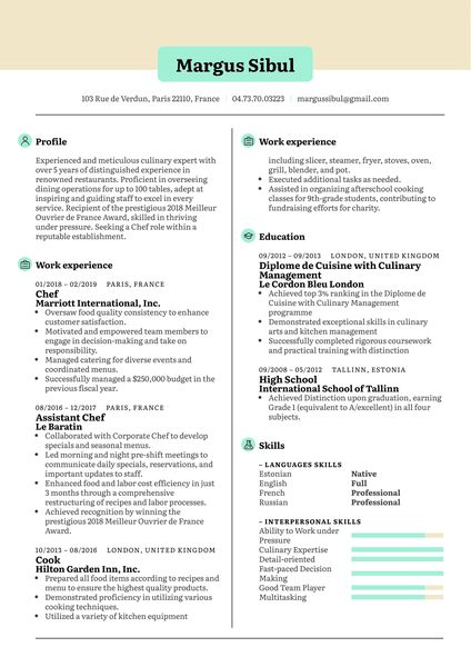 Original Mediator Resume Example