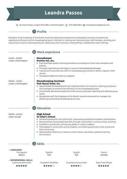 Professional Lawyer Resume Example