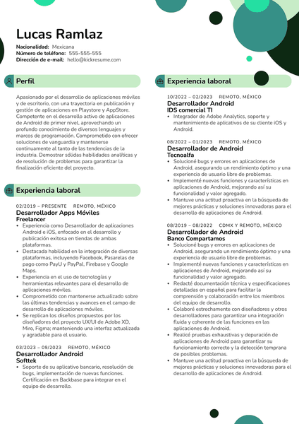 Fire Safety Officer Resume Sample