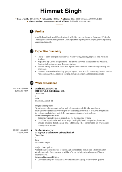 DTDC Business Analyst Resume Template