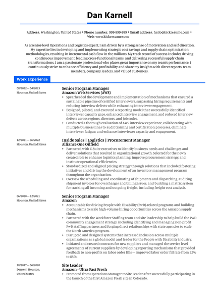 Store Owner Resume Example