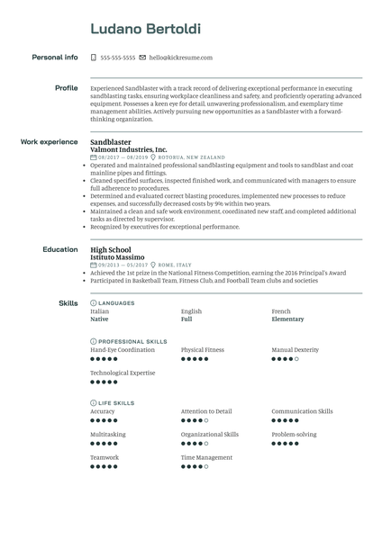 Manager at Kaufland Resume Sample [SK]