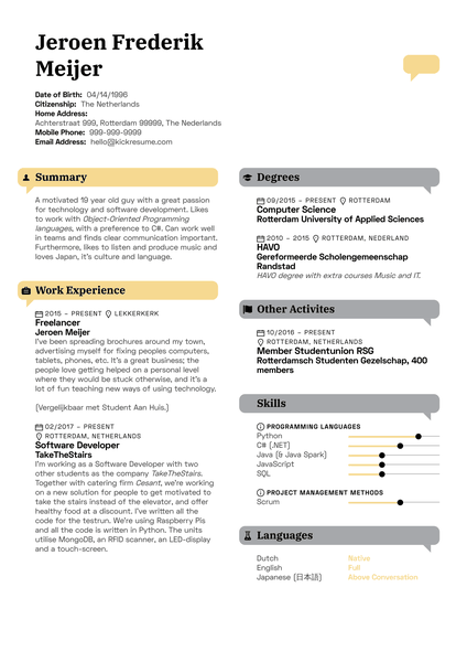 Experienced Software Developer CV Example