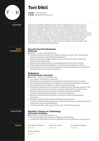 Hospital Volunteer Resume Example