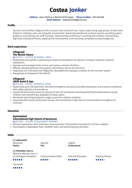 Social Work Intern Resume Example