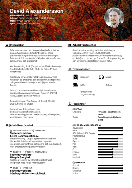 Software Developer [swedish] Systemutvecklare