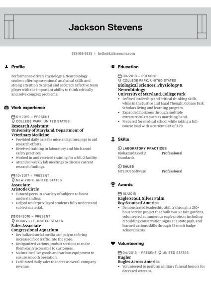 Team Manager Resume Example